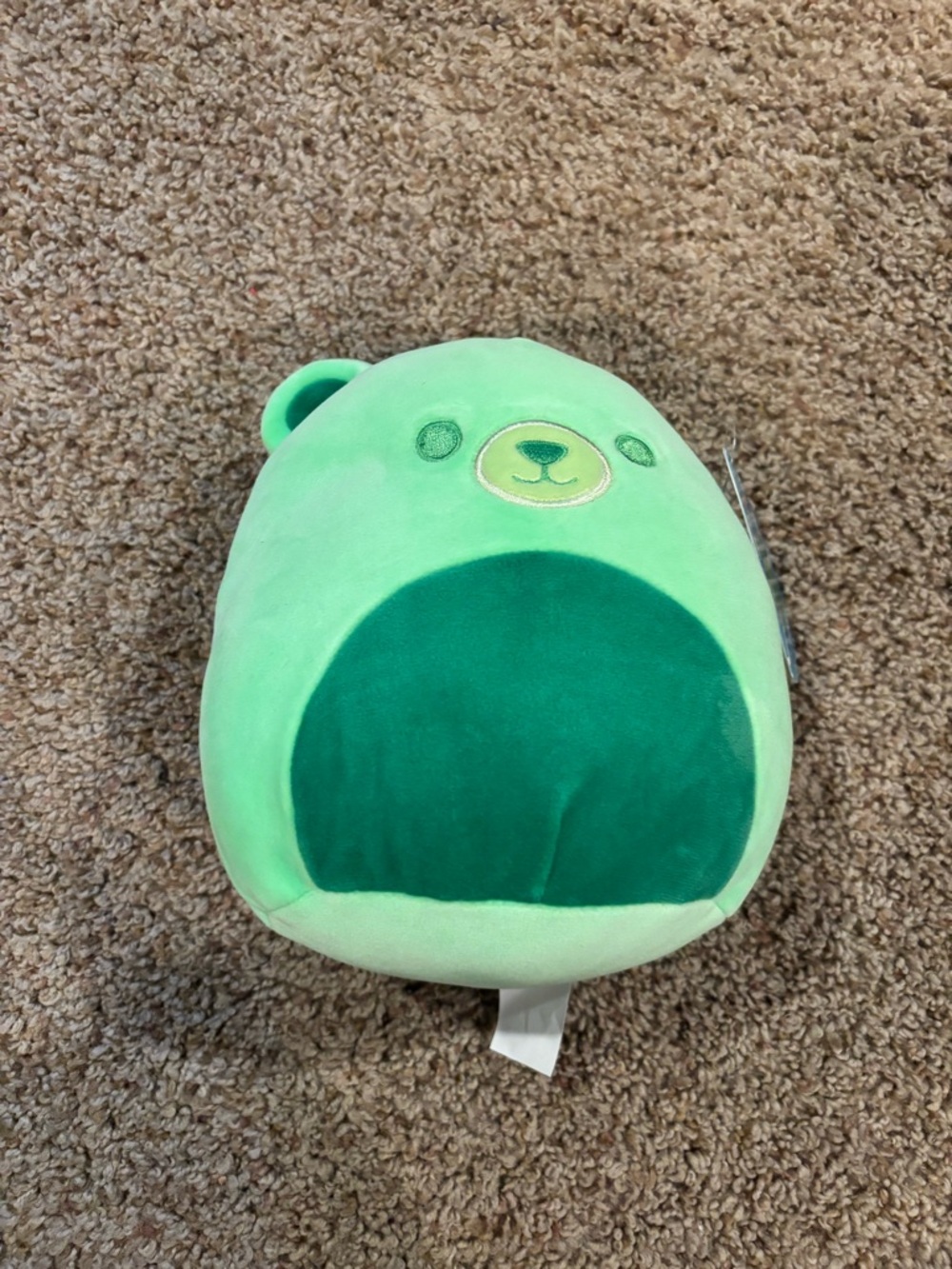 8 inch Gobo the Bear Squishmallow NWT